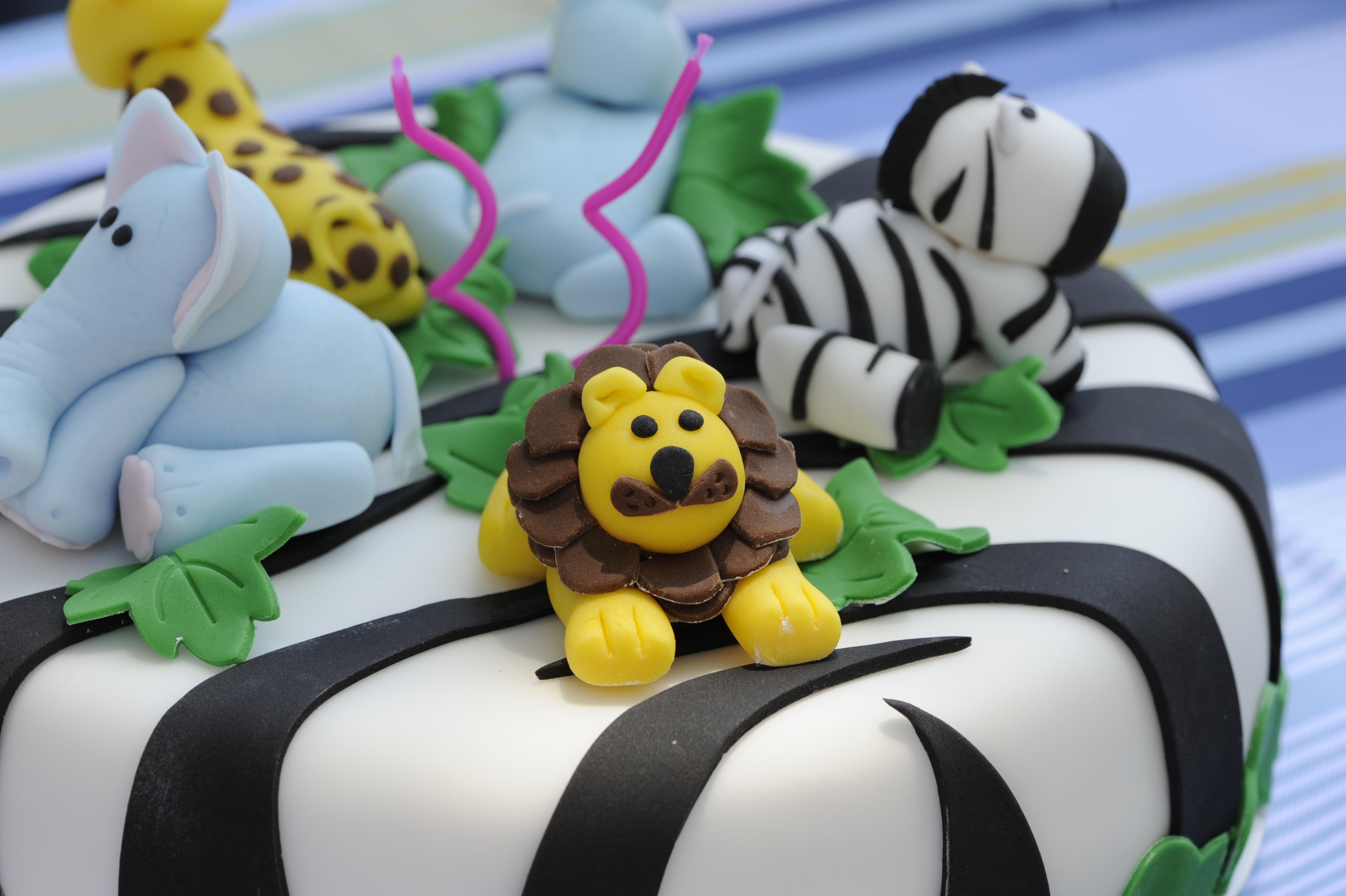 jungle-cake