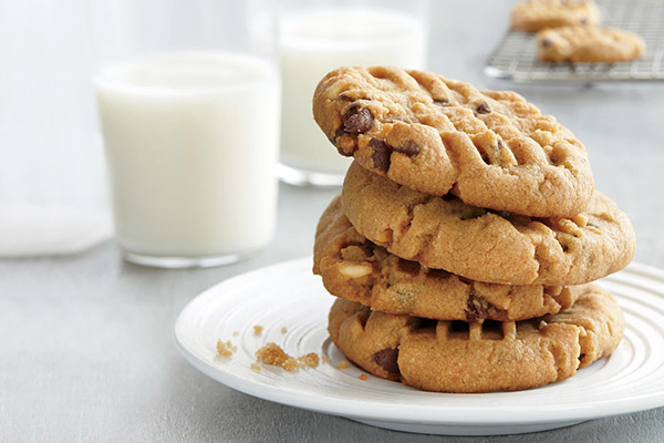 Chocolate Chip Cookie 