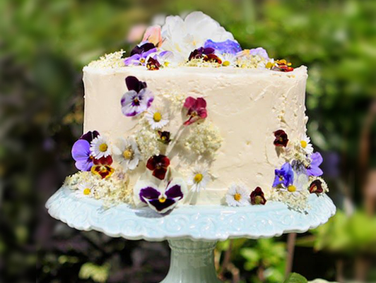 11 Creative Ways To Decorate A Cake Other Than Frosting Bakingo Blog