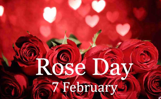 happy rose day