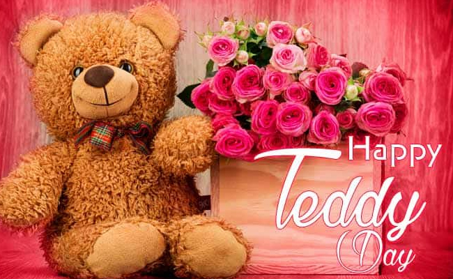 happy teddy day