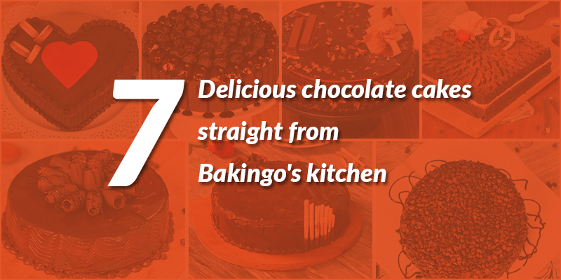 7 delicious chocolate cakes straight from Bakingo's kitchen