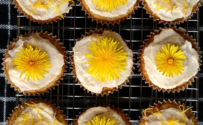 dandelion cupcakes