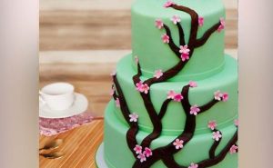 nurturing fondant cake