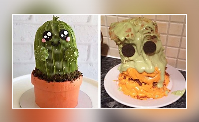 cactus cake
