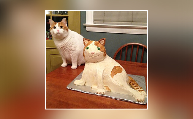 kitty cake