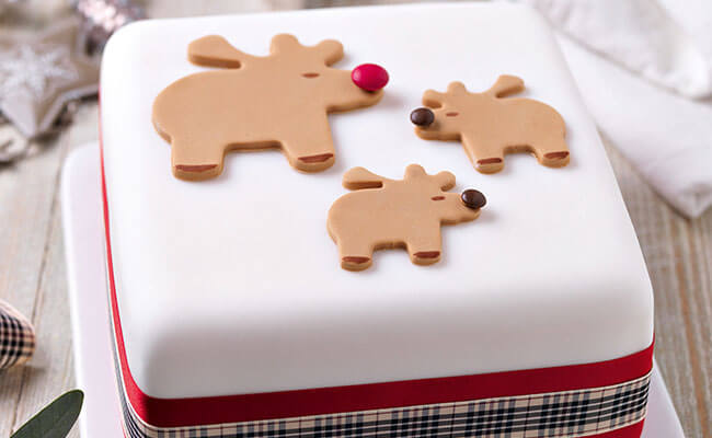 Rudolph Christmas cake