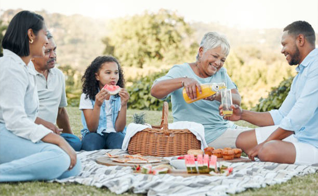 A Family Picnic for Anniversary celebration