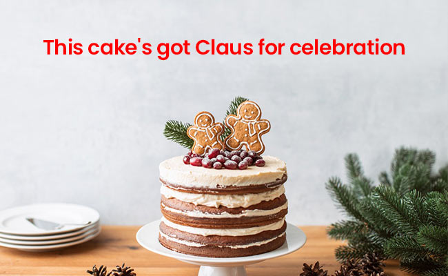 Christmas Cake Captions