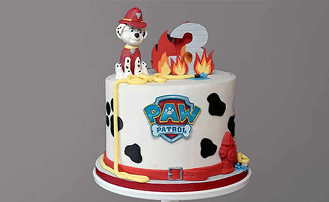 Paw Patrol Party