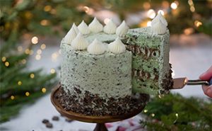 Minty Fresh - Mint Chocolate Chip Delight
