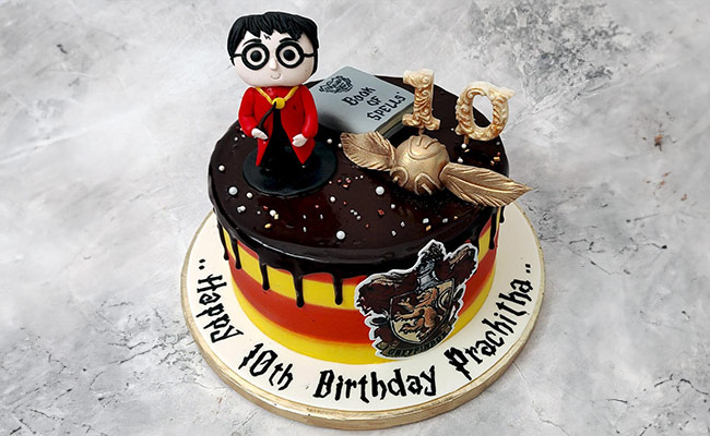 The Magical Harry Potter Cake